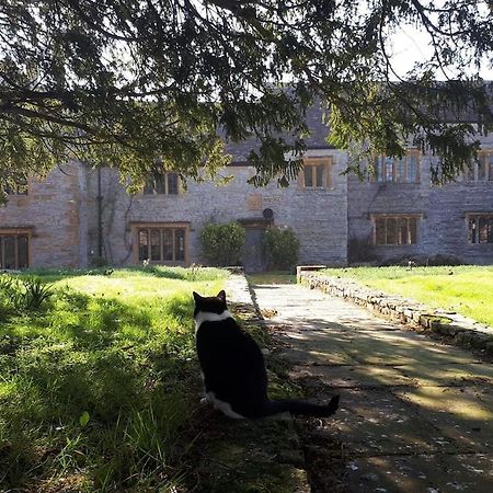 The Manor House, Curry Mallet Taunton Extérieur photo