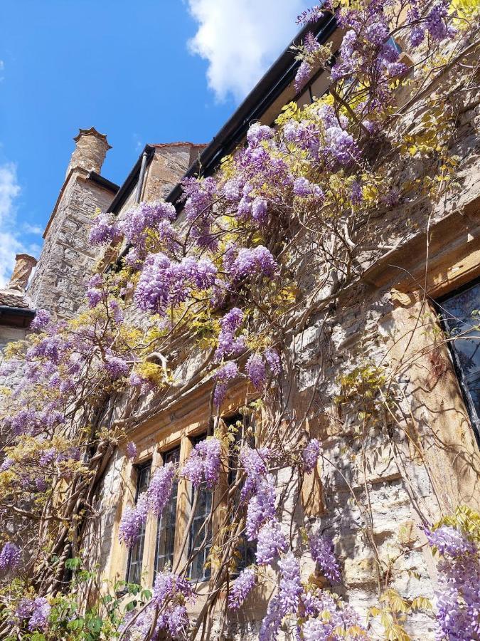 The Manor House, Curry Mallet Taunton Extérieur photo