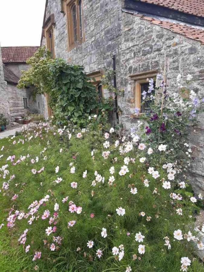 The Manor House, Curry Mallet Taunton Extérieur photo